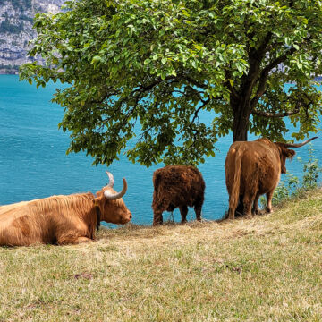 20230622 133910 Kopie